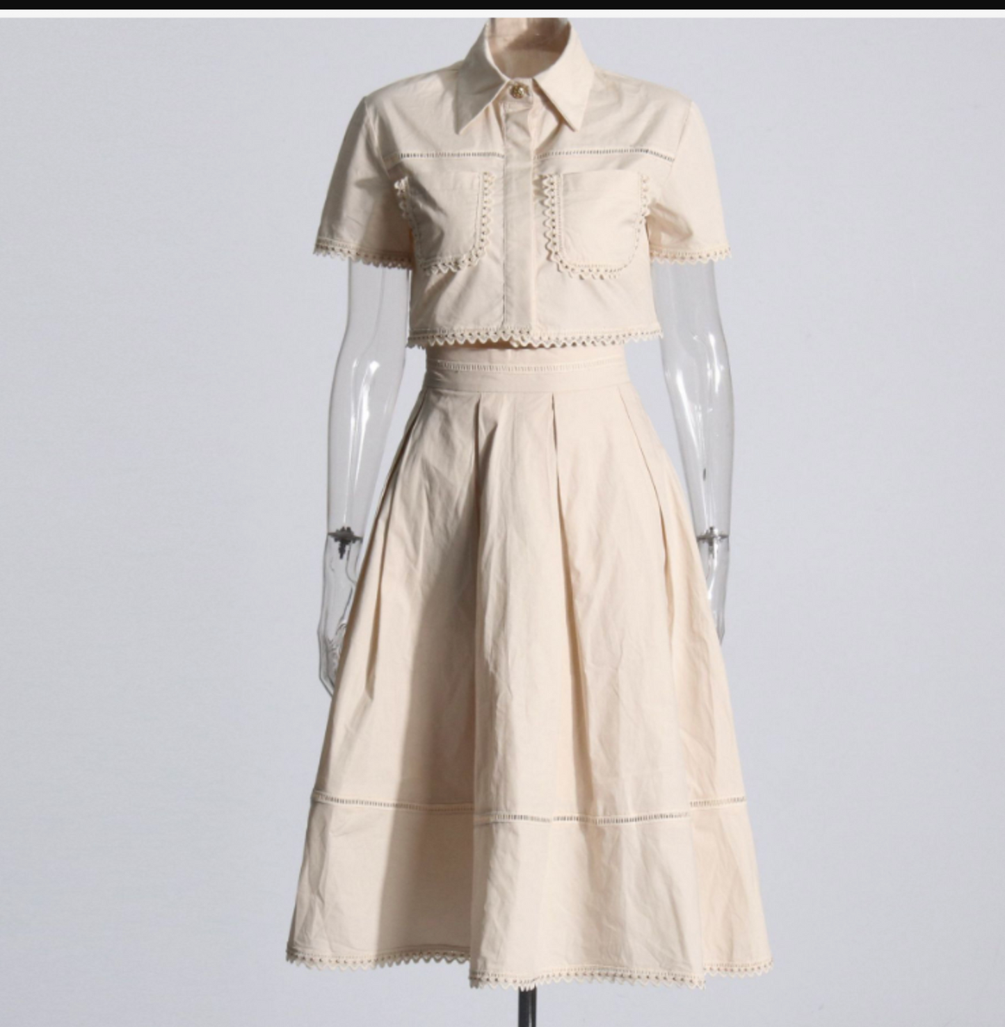 Embroidered Skirt Two piece set