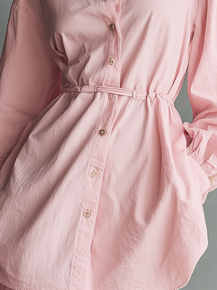 Chic Collared Neckline Mini dress