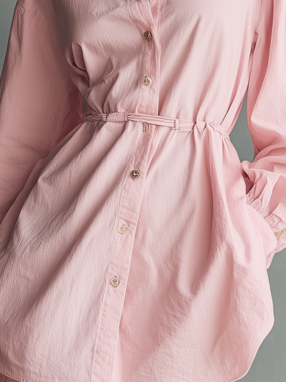 Chic Collared Neckline Mini dress