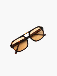 tortoise / orange